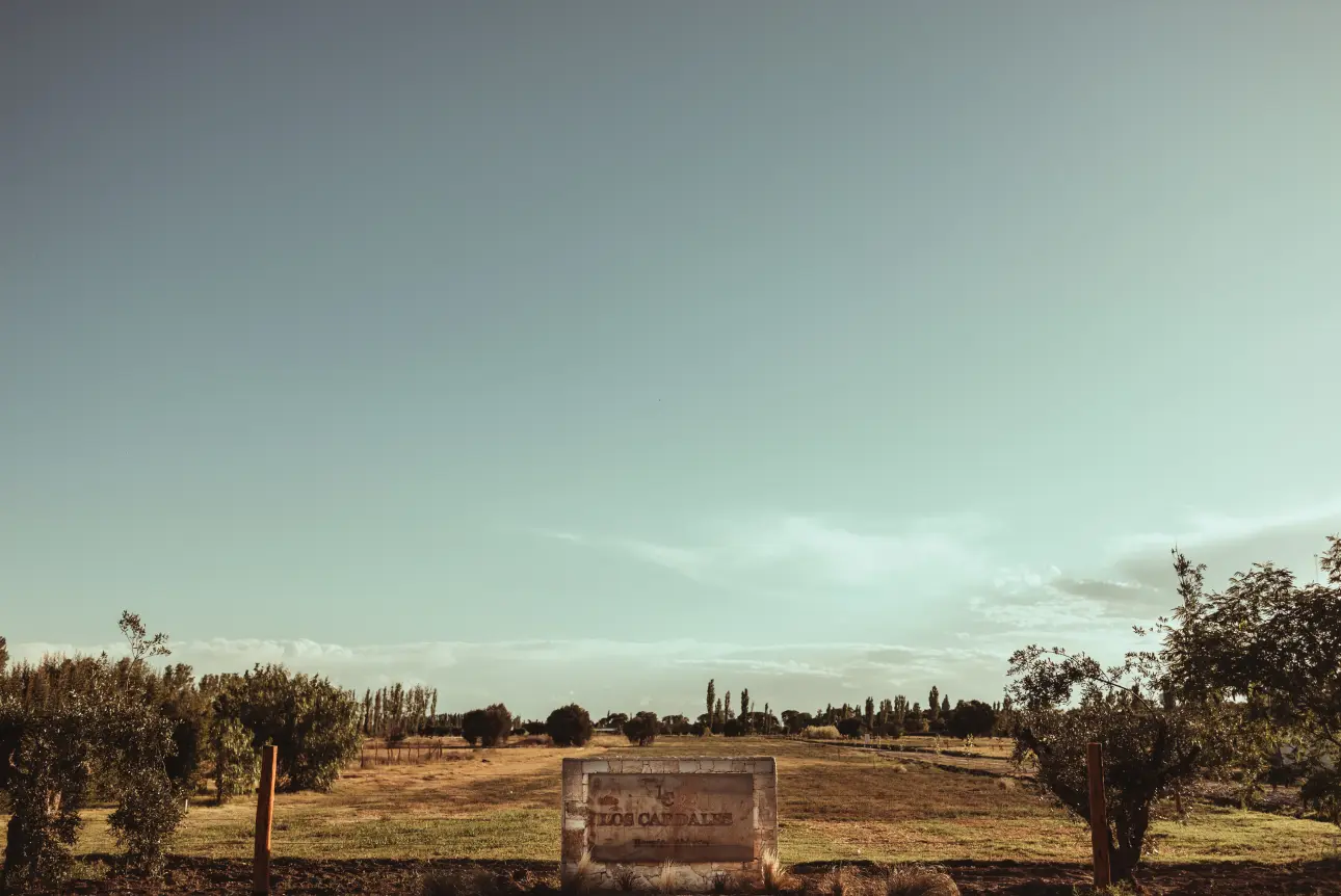 Entrada a un campo con un cartel con el logo de Los Cardales